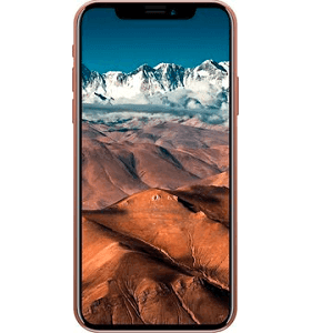 Apple iPhone X